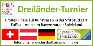 logo-dreilaend-turn-ohne-jahr